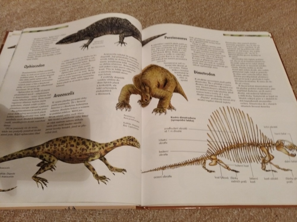 Kniha DINOSAUŘI - 2