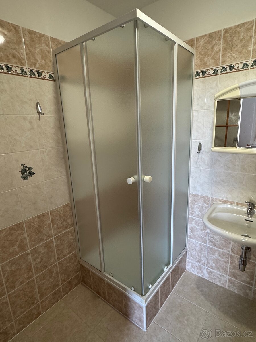 Zástěna sprchového koutu 80x80 - 2