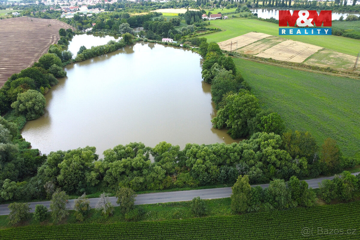 Prodej pozemků 6053 m², Liblice u Českého Brodu - 2