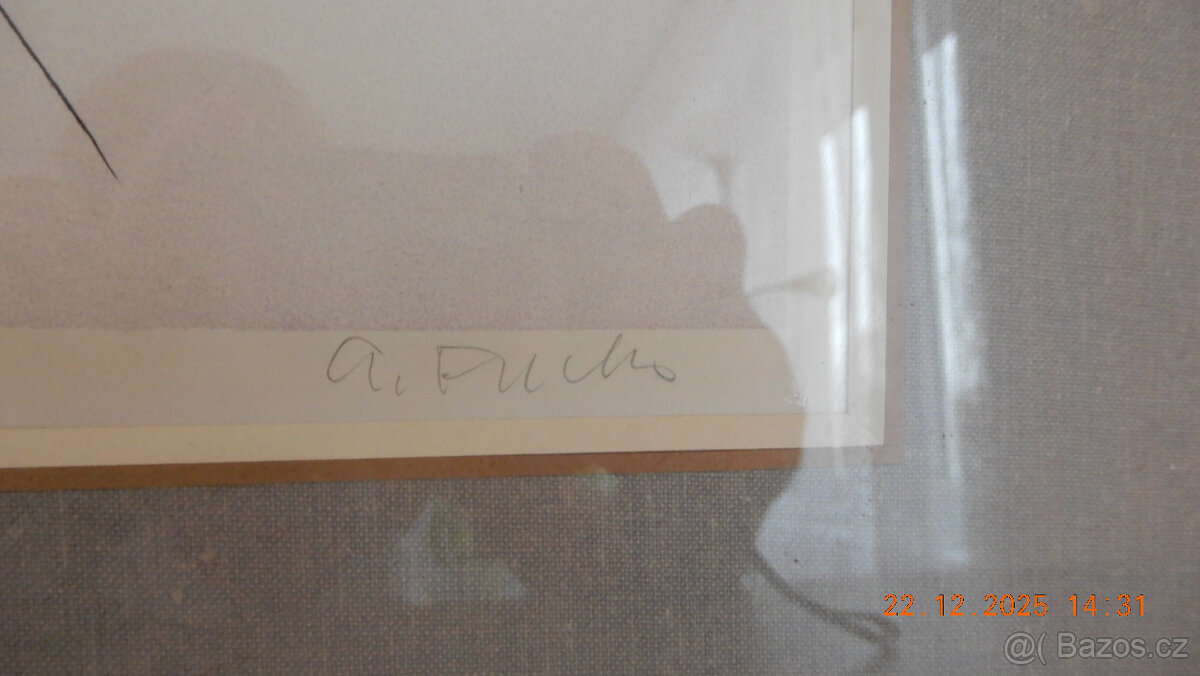 Perokresba A. Pucha - 2