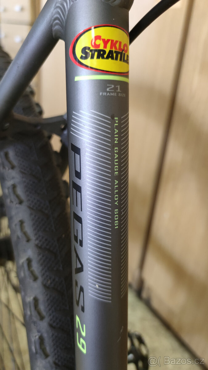 Author Pegas 29" - 2