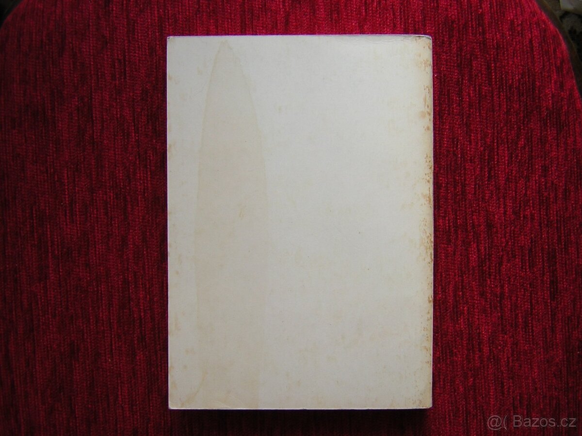 VČELAŘSTVÍ - učebnice - 2