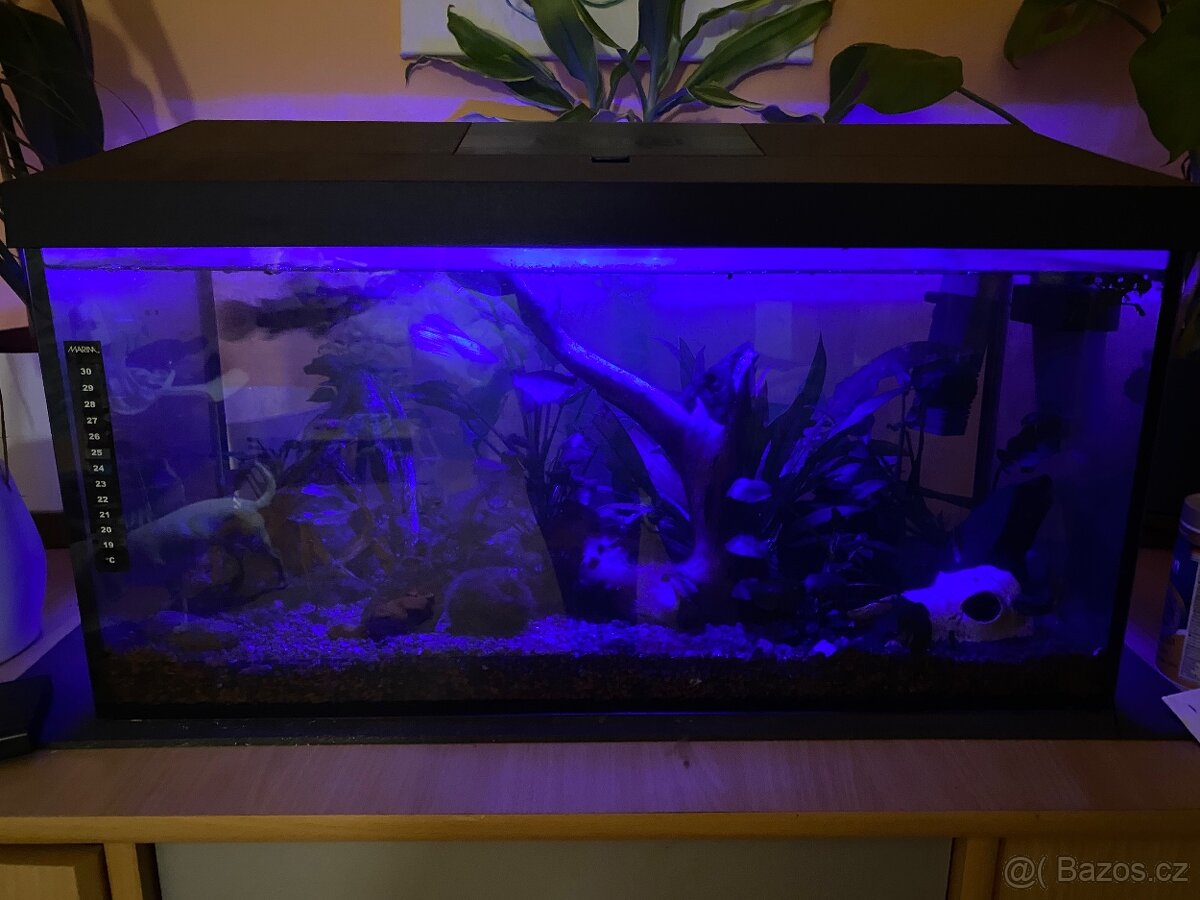 Akvarium 54L - 2