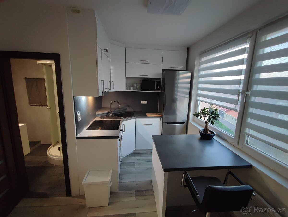 Prodám byt 1+1, 30,50m2 v obci Práče - 2