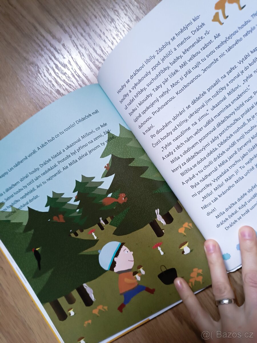 Dráček Mráček - Daniela Krolupperová - 2