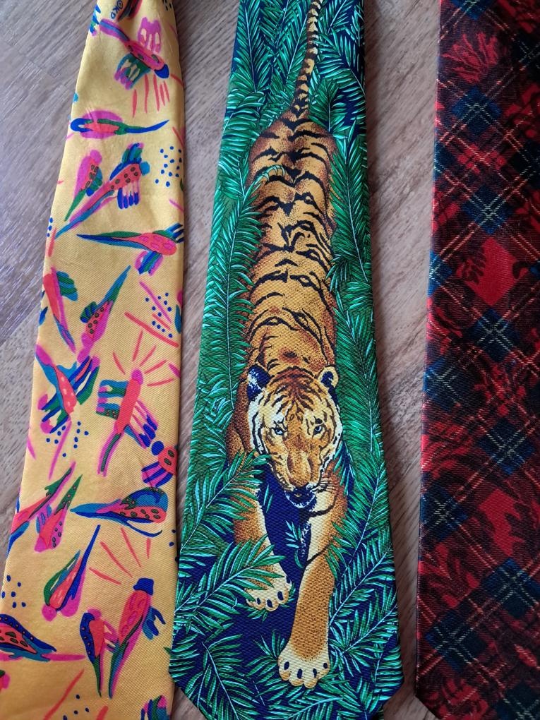 Pánské společenské kravaty - 2