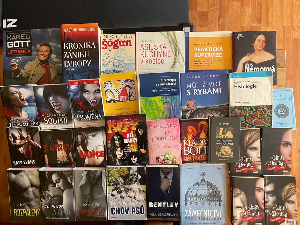 Arteterapie,Remy,Weedology,Slezsko,Upíří deníky,Kiss,Bentley - 2