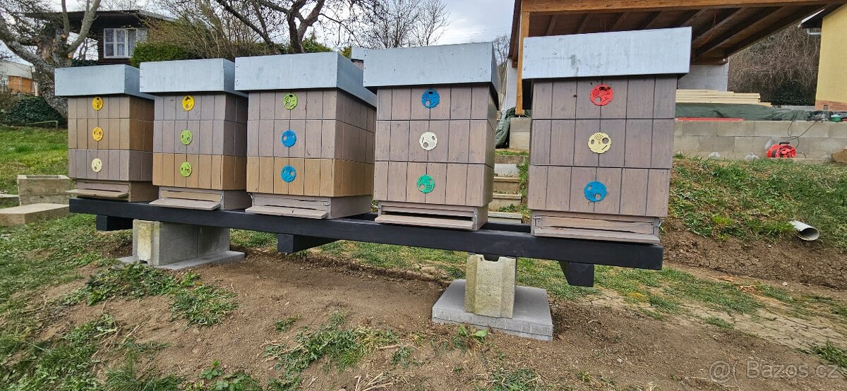 Vyzimovaná včelstva 39x34,7cm - 2