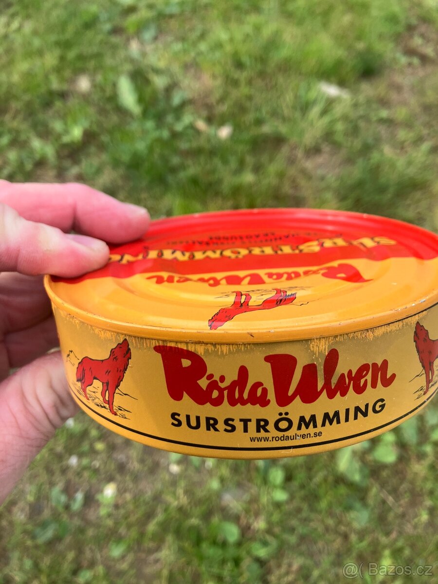 nejsmradlavější ryba světa Surstromning - 2