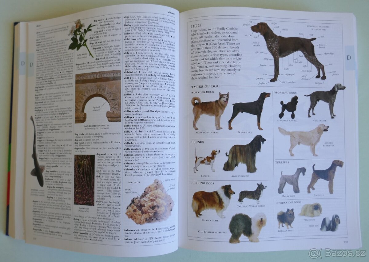 Prodám Ilustrovaný Oxfordský Slovník - 2