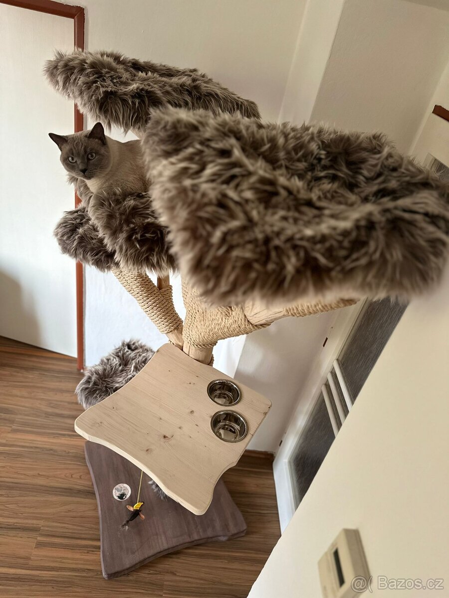 Prodám krásný kočičí strom - 2