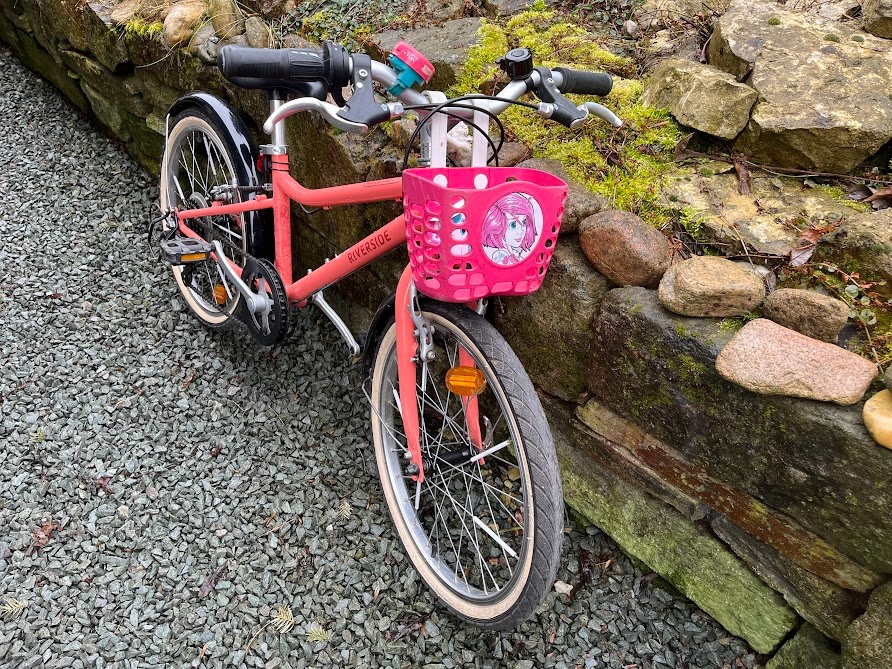 Dětské kolo 20" - Riverside (růžové) - 2