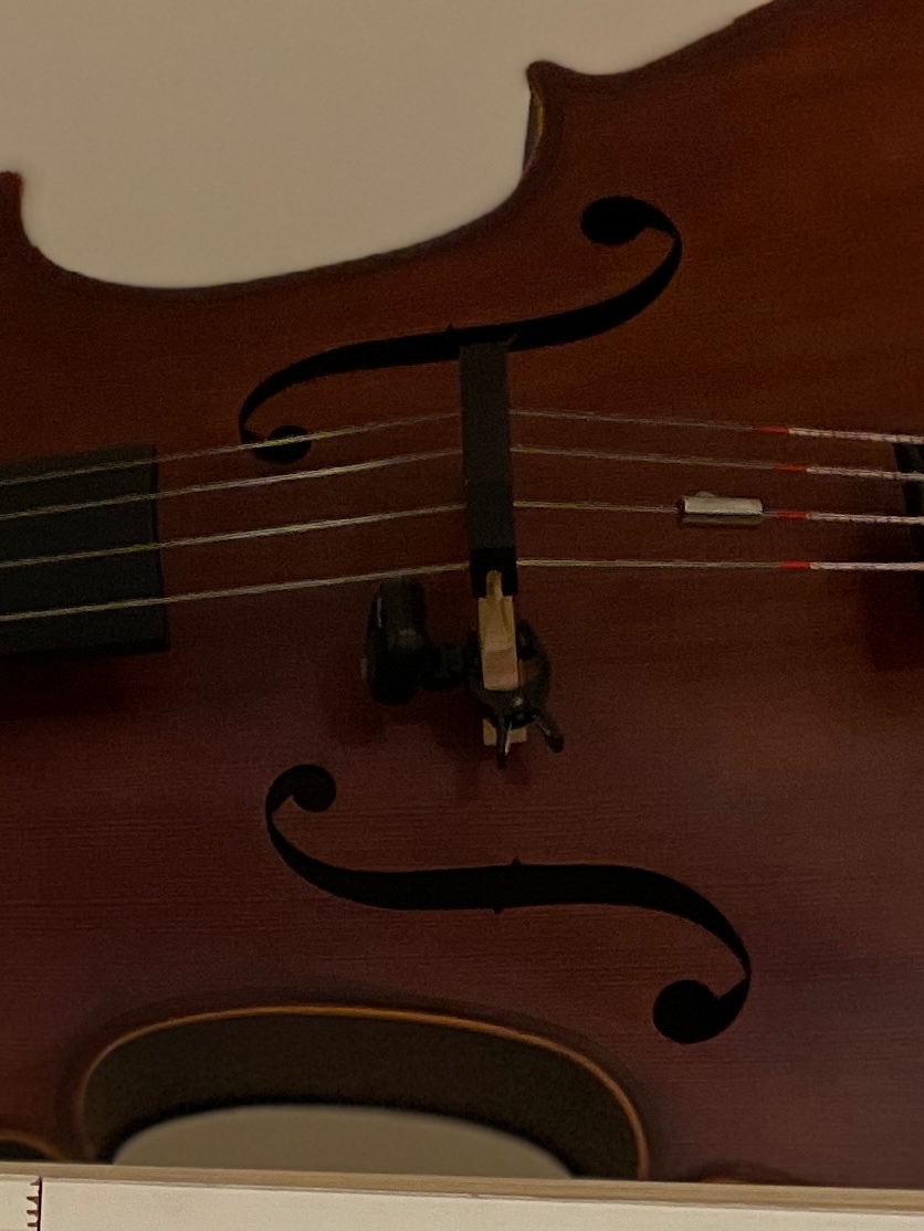 Violoncello 4/4, smyčec, futral, zcela nové - 2