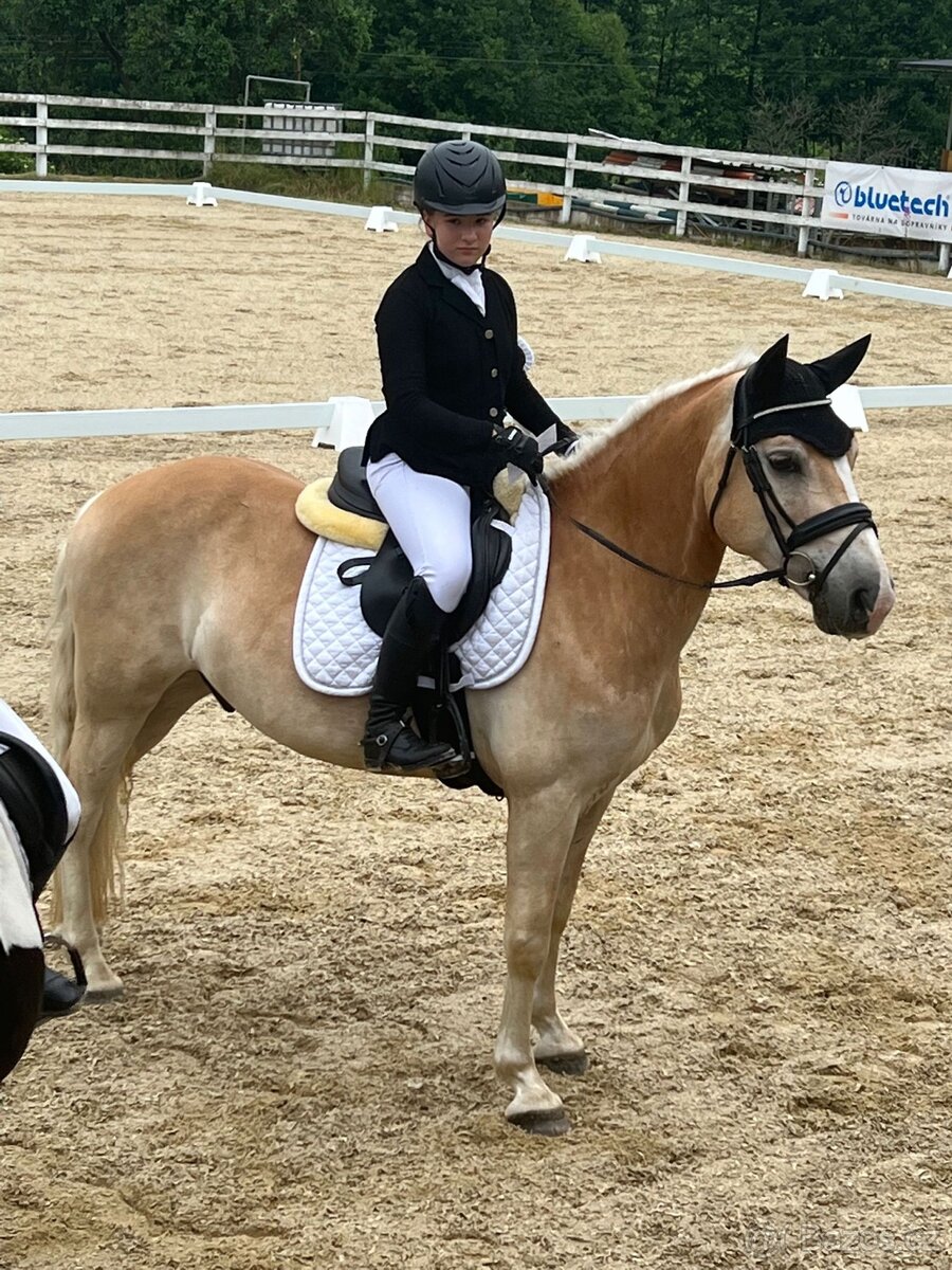 Patnáctiletý hafling - 2