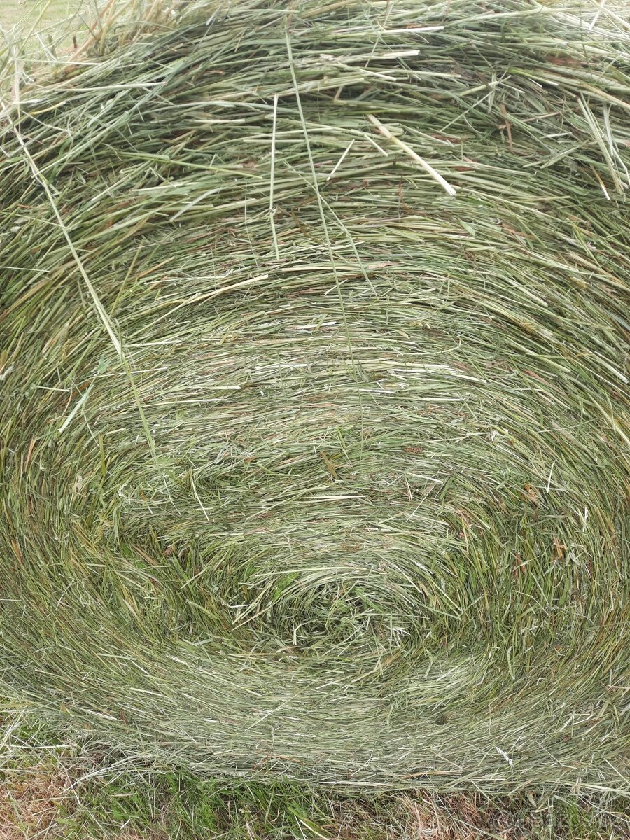 Seno kulate baliky - 2