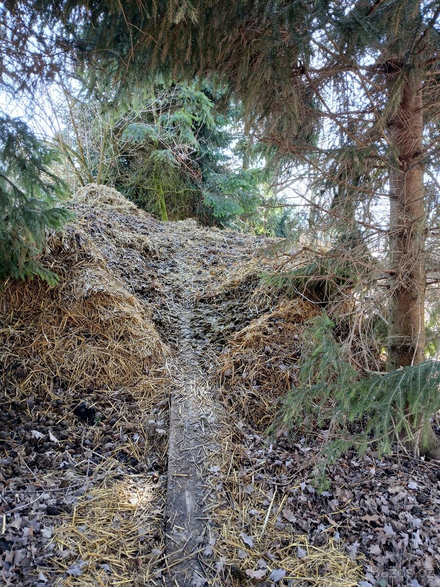 Koňský hnůj - 2