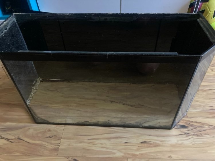 terarium - 2