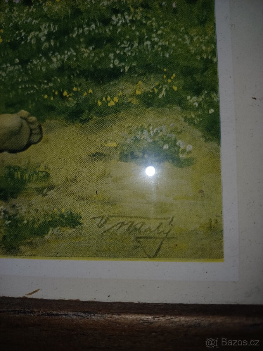 Prodám obrazy - 2