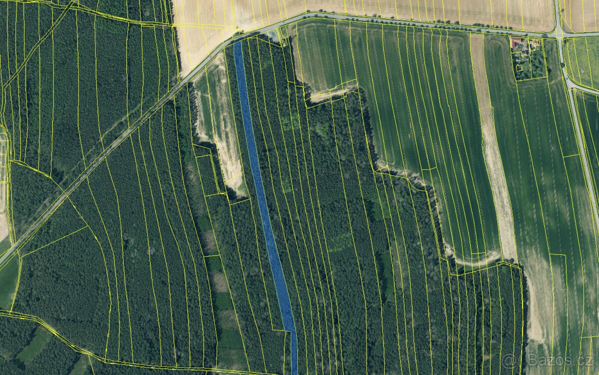 Prodám lesní pozemek v k.ú. Žichlice u Hromnic - 2