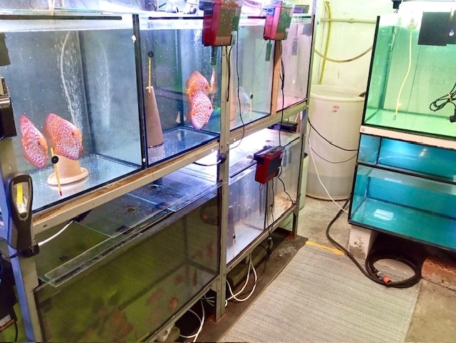 Akvária s výbavou - 2