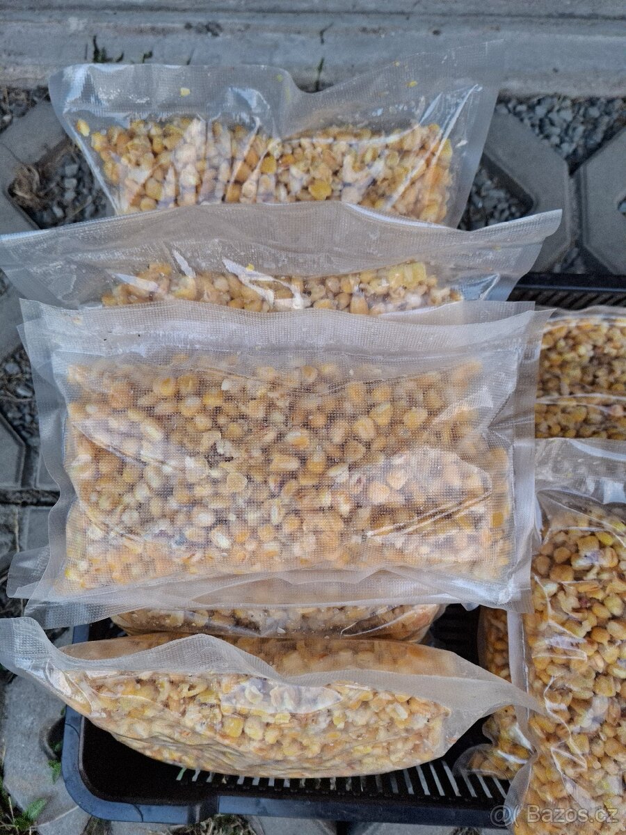 Vařený partikl kukuřice - 2