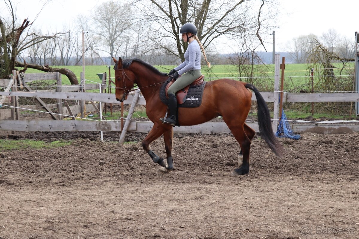 Dámský jemný koník - 2