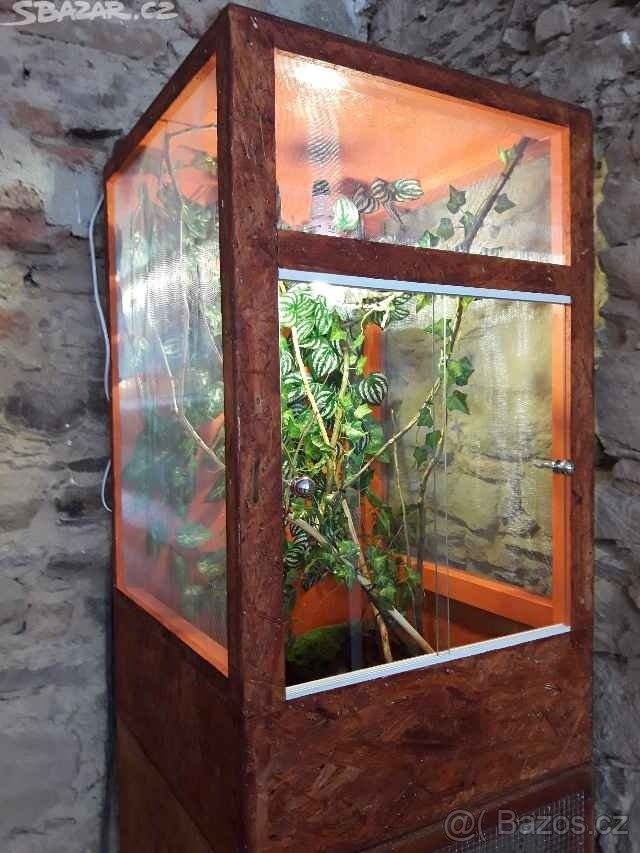 Nové kompletně vybavené terárium pro chameleonka - 2