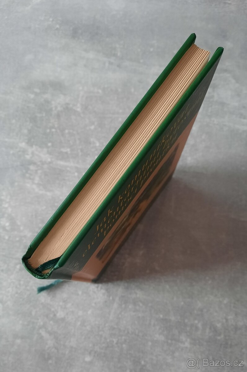 Kniha - Jak komunikovat s elementárními bytostmi - 2