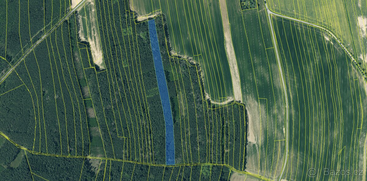 Prodám lesní pozemek v katastrálním území Žichlice u Hromnic - 2