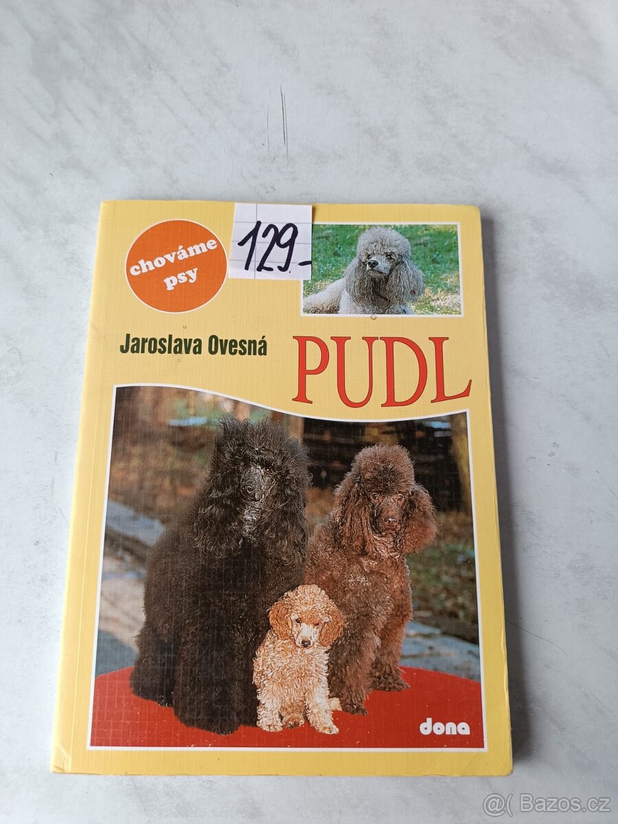 Afghánský chrt pudl westik bišon frise retrivr - 2