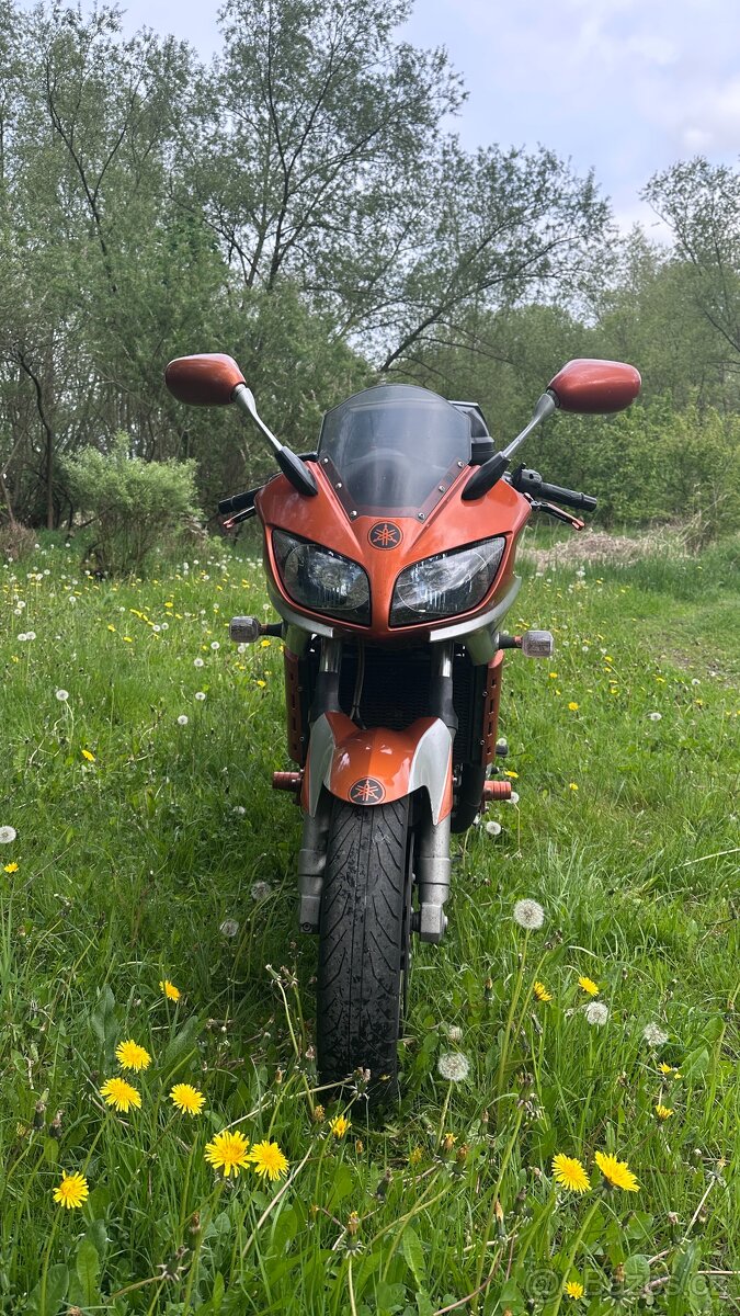 Yamaha 1000 FZS - 2