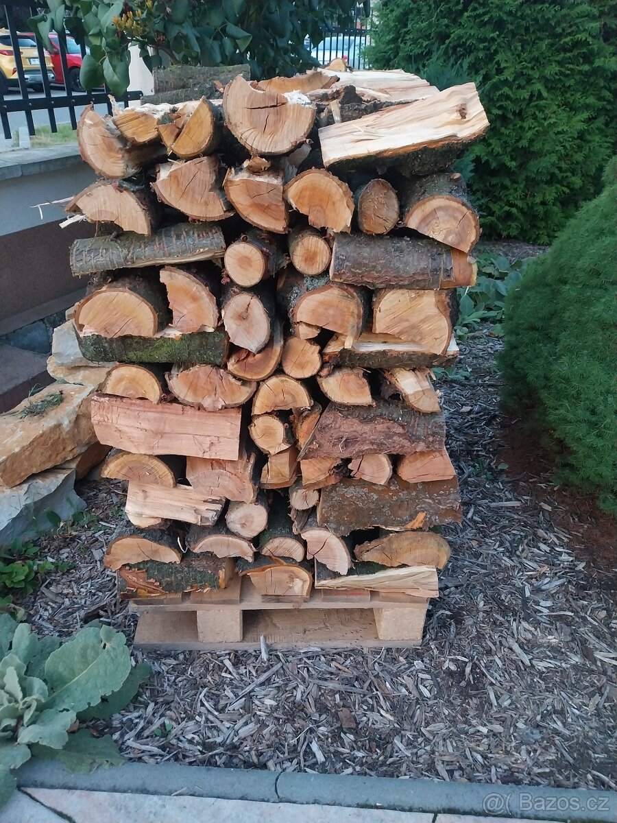 Dřevo višňové štípané na uzení - 2