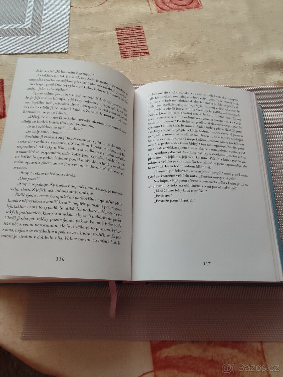 Bábovky na konci světa - 2