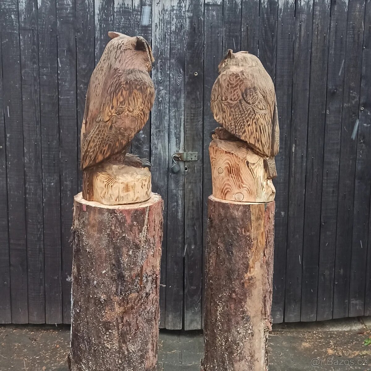 Sova motorovou pilou - 2