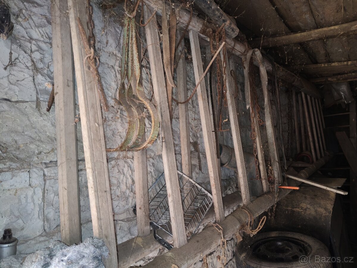 Žebřiňák - žebřiny - 2