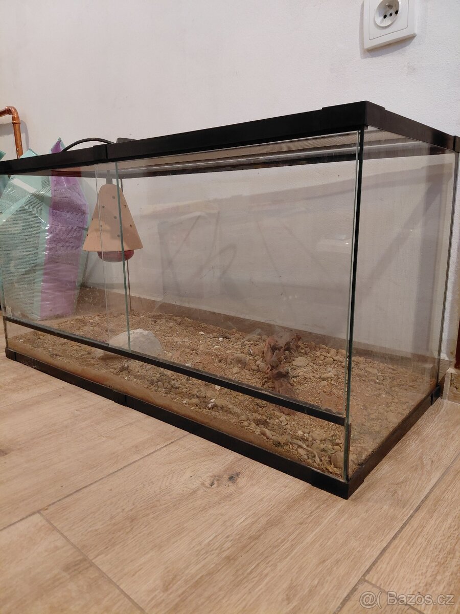Terarium - 2