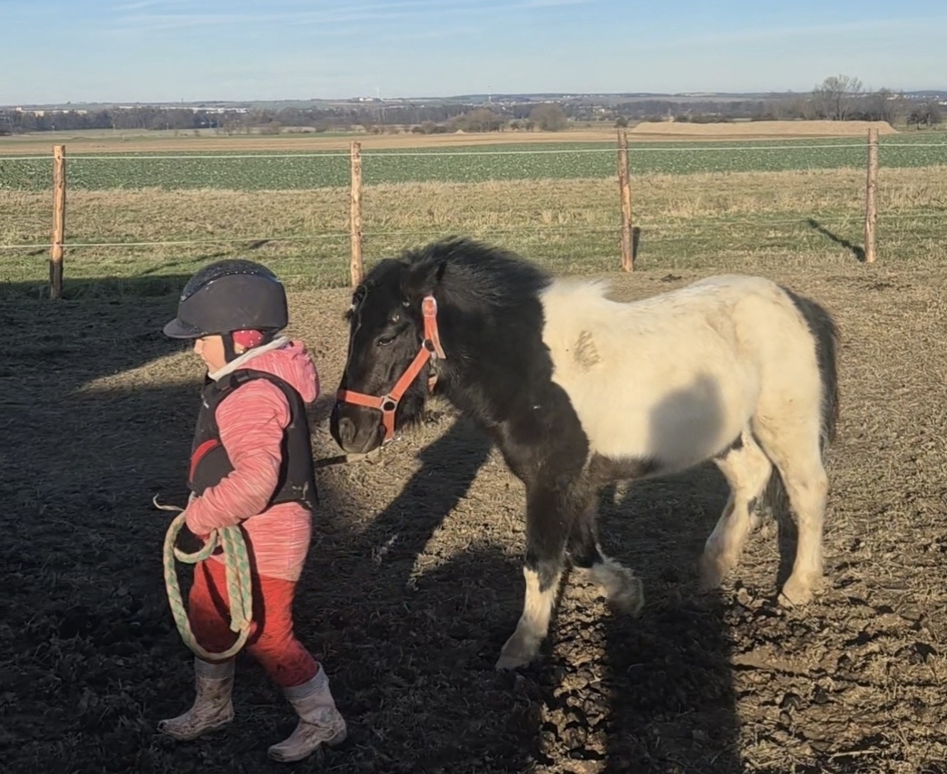 4letý pony valášek - 2