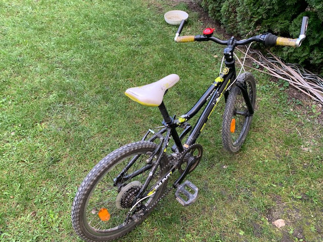 Dětské kolo Superior Paint 20” - 2