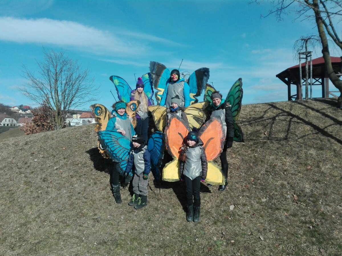 Kostými motýlů 6 kusů - 2