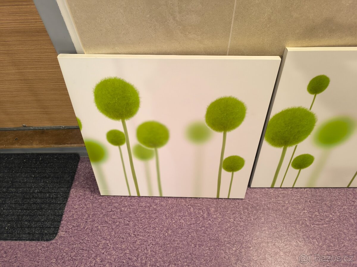 Troj - obraz ( sada ) - 2