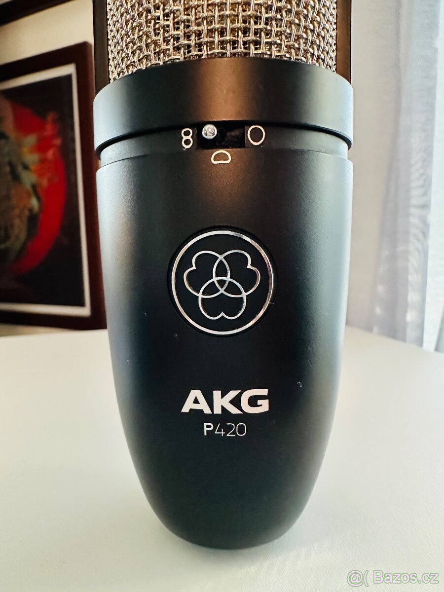AKG - P420 - 2