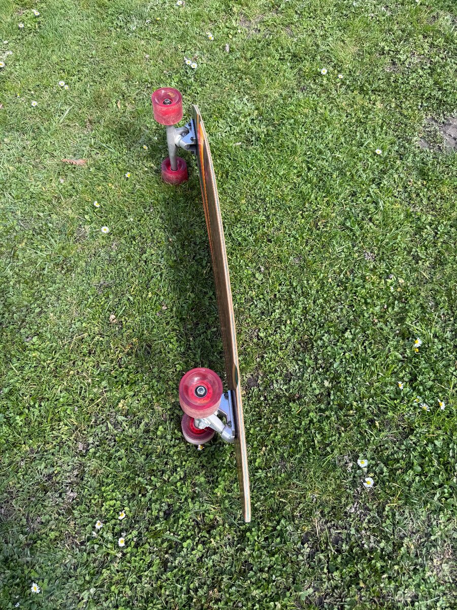 D-Street - Malibu Multi 40" - longboard - 2