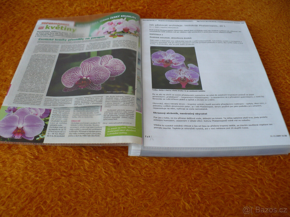 Jak pěstovat Phalaenopsis ( Orchidee). - 2