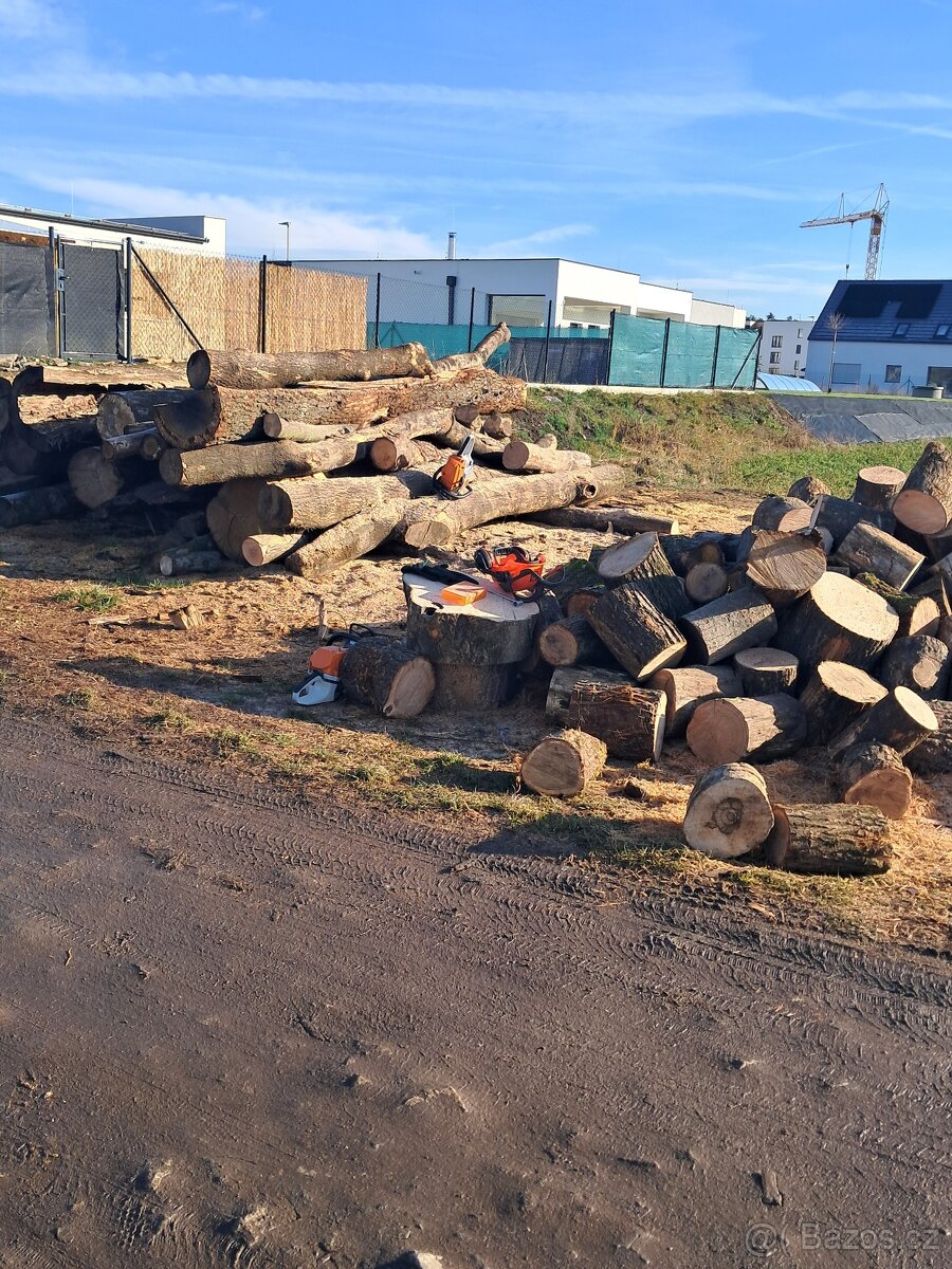 Práce s motorovou pilou - 2