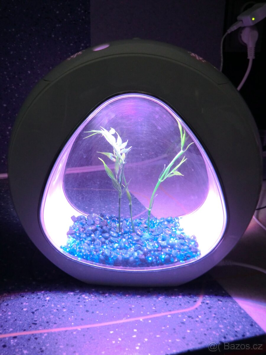 PRODÁM SVÍTÍCÍ AKVÁRKO - 2