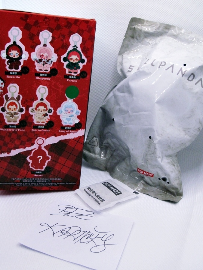 č.3 🐼 SKULLPANDA plyšová panenka BLINDBOX přívěsek SNOW - 2