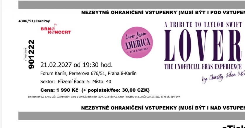 TAYLOR SWIFT TRIBUTE (USA) - 2