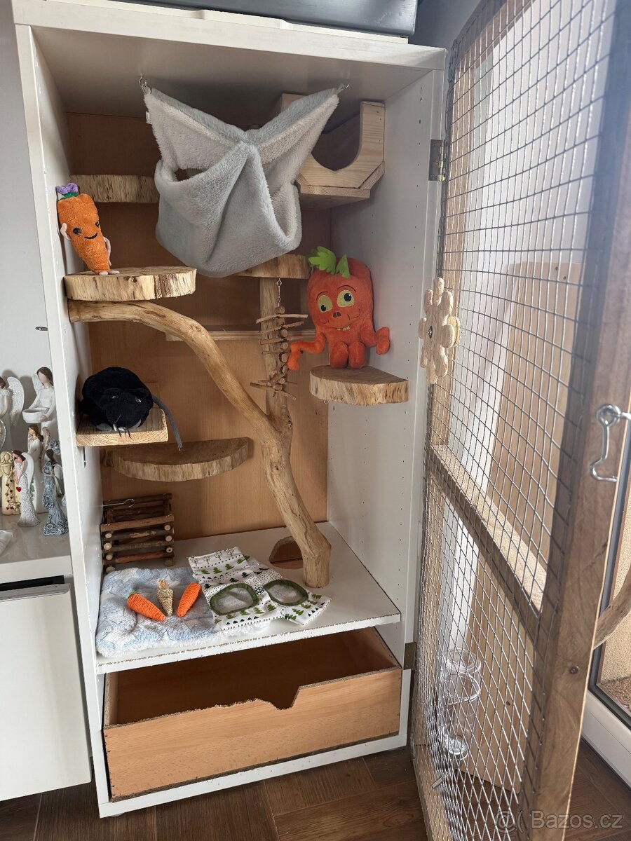 Skříňoklec klec činčila - 2