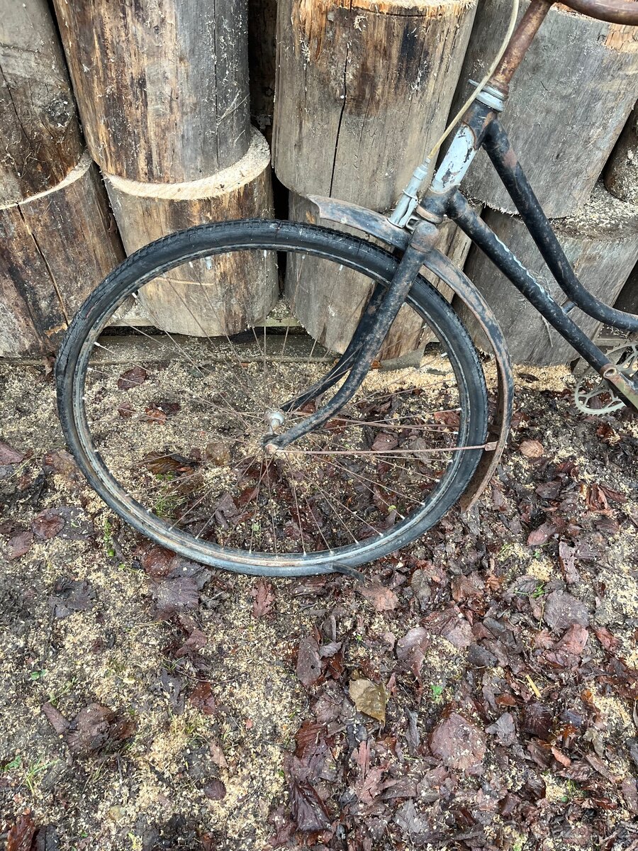 Dámské jízdní kolo - 2