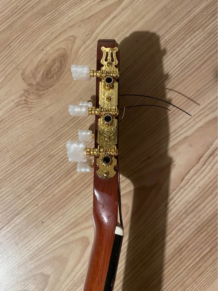 Španělka Ovation kopie - 2